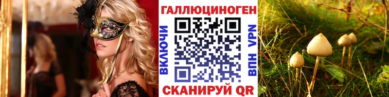 где можно купить наркотик  Вязники  Псилоцибиновые грибы мицелий 